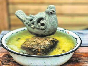 Fluit-fluit, die laaste warm weer is uit