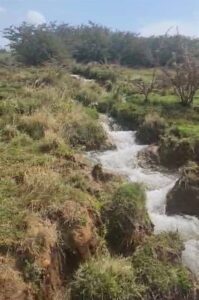 ‘Watervermorsing by aanleg moet ondersoek word’