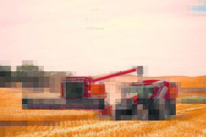 Lae insetkoste steeds hoofdoel