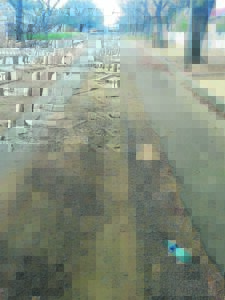 Buurt se strate gehawend