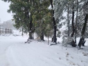 Oos-Vrystaat in lente-sneeukombers toegedraai