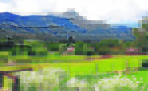Skilderagtig ná reënval