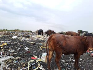 Heilbron vat hande om waterbesoedeling te beveg