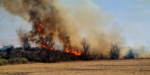 Wye verwoesting plaas brandseisoen se gevaar in kollig