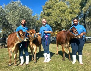 Trio se jong talente op die Jeugskou-podium