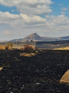 Pikswart veld beliggaam die verlies, trauma en gevaar wat boere aan Lesotho-grens verduur