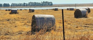 Munisipale ineenstorting laat landbougemeenskappe aan die kortste ent trek