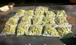 Operation Shanela II Cleans Up Mangaung’s streets