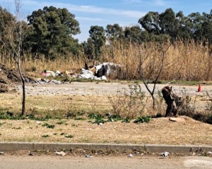 Party demands action on illegal dumping and shack construction in Kroonstad