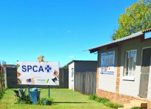 Maak seker daar word na jou dier omgesien, vra DBV