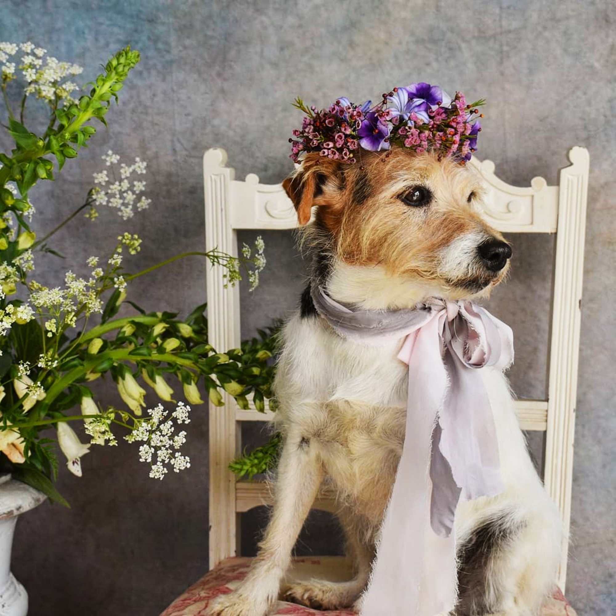 On Sunday 12 October South Africans will celebrate the 10th Garden Day