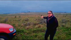 Oorbevolking van wild by Wolhuterskop bedreig biodiversiteit en toerisme in die Vrystaat