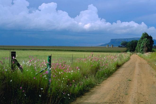 Plaaspad by  Harrismith