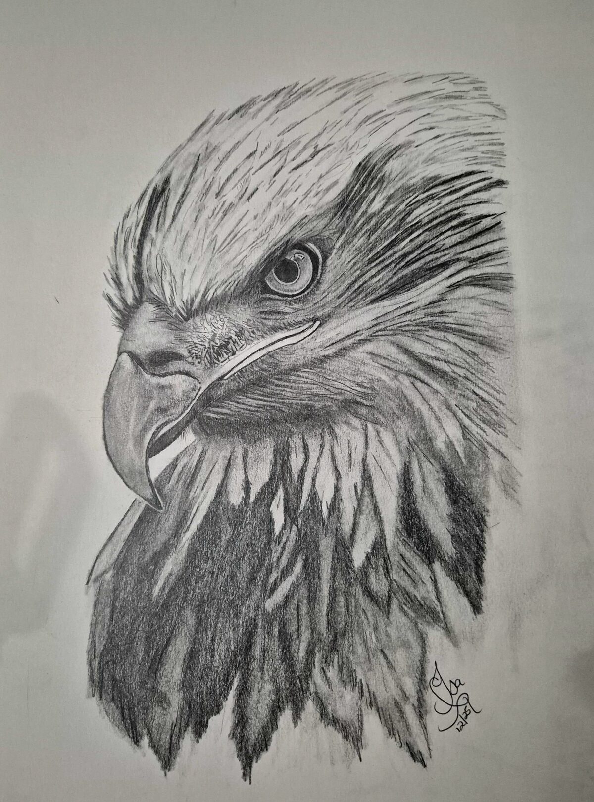 Om diere te teken bly haar passie, maar Isabel hoop om binnekort profiele en ander soort sketse aan te pak.