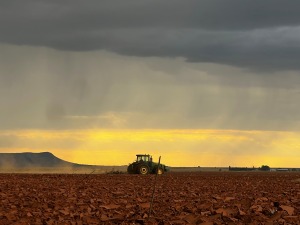 Dieselprys-manipulasie kan landbou nog ‘n vuishou gee, waarsku VL