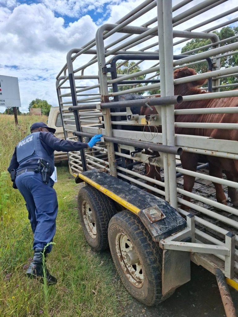 The police are intensifing a cross-border crime crackdown in the Free State, with a major operation centred in Clarens.