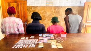 Police arrest 12 in major Easter weekend operation in Thabo Mofutsanyana