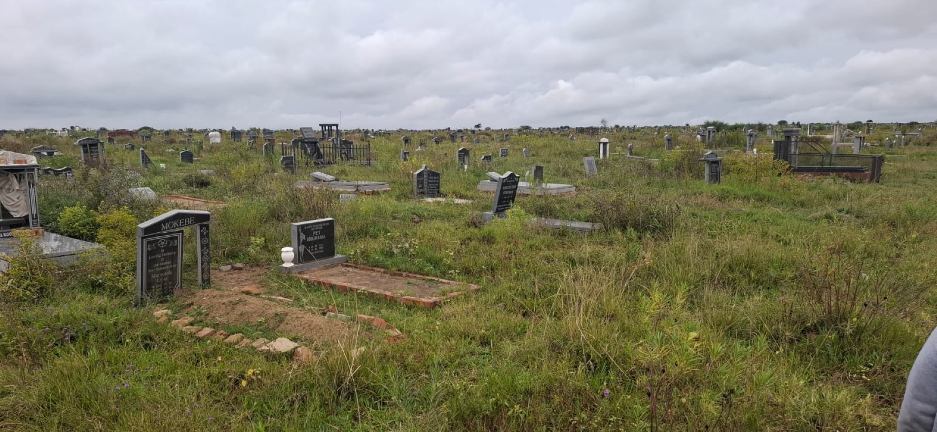 Overgrown vegetation engulfs graves in Moqhaka cemeteries, leaving families struggling to access burial sites after recent heavy rains.
