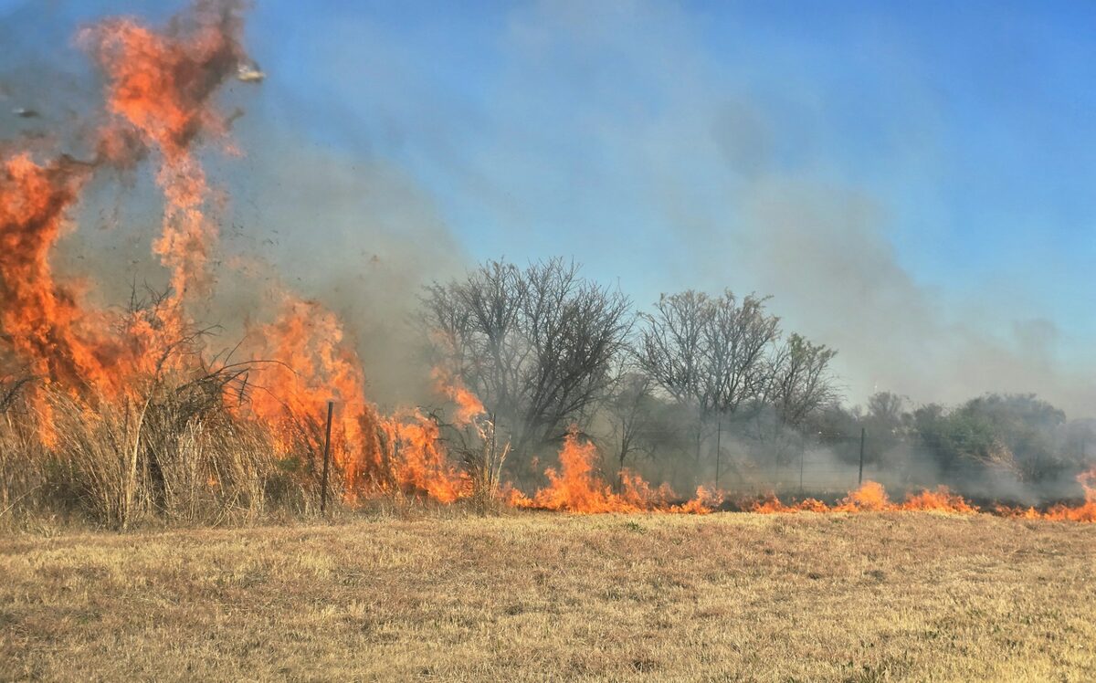 Droë veld verhoog brandrisiko in die Vrystaat