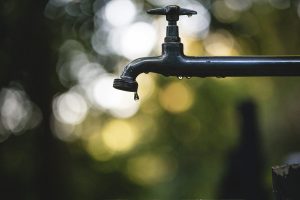 Work halted at Vredefort water treatment plant over unpaid wages