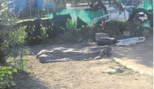 Man dood in sy agterplaas gekry