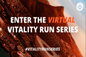 Wen só in virtuele ren