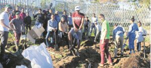 Planting seeds for future food security