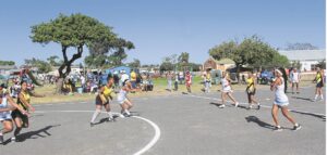 Erfenis met netbal gevier