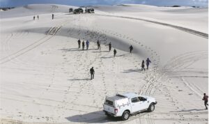 R18m development for dunes