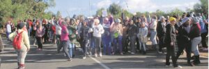 Staking vir eers afgeweer