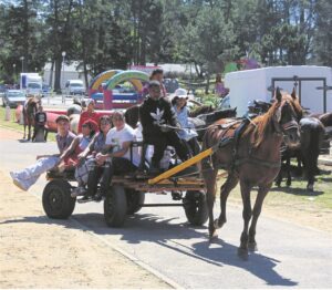 Maak gereed vir Mamre-blommefees