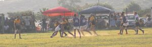 Topliga wink vir Hamlets