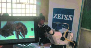 Atlantis learners engaged in interactive learning
