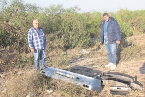 Rondloper-perd eis lewe van twee in kar