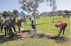 Inwoners en raadslede plant bome in park