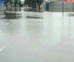 Storm saai skade