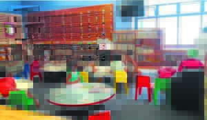 Local libraries’ holiday offerings