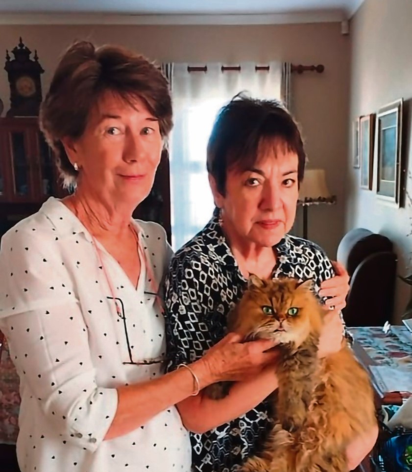 Van die Weskus na Brackenfell: kat se ongelooflike reis wat hom weer by sy eienaar bring