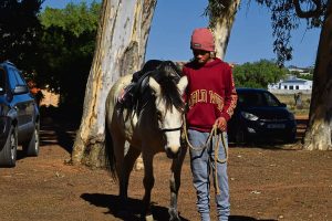 Horse riding sports for all