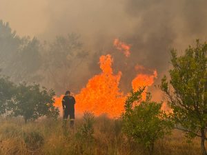 Cape Town firefighters respond to over 30 000 incidents in past year