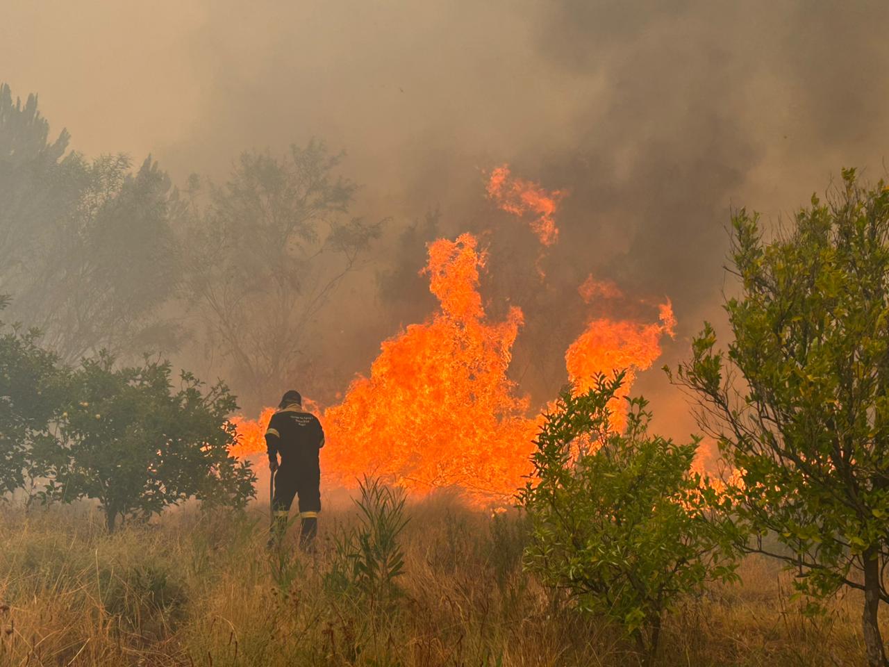 Cape Town firefighters.