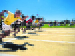 Laerskool Panorama se rooihuis kraai koning
