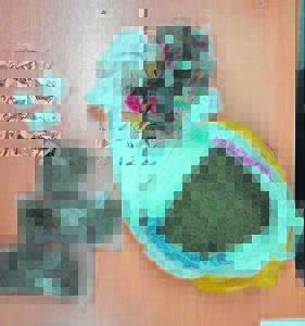 Dagga, tik gekry