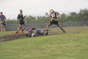Swak dissipline kelder Pato