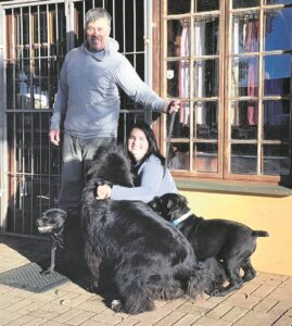 Honde keer tiener aan