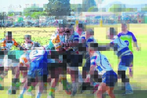 Rugbykoors bou al op in die Weskus