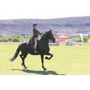 Ruiters van Hoërskool Porterville wys hul slag