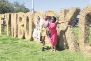 Fynbosskou in volle blom