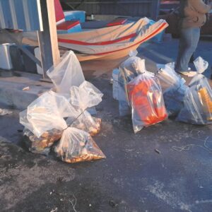 Stropers se bote afgevat