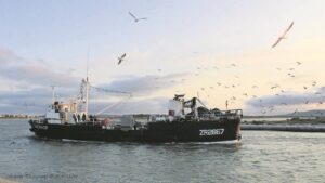 ‘Danie Knopbos’ beswyk aan hart